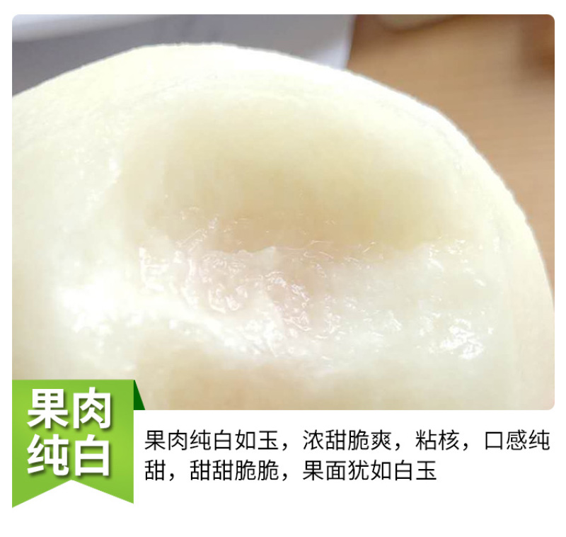 白如玉桃苗桃苗根系发达可签纯度合同现挖发货