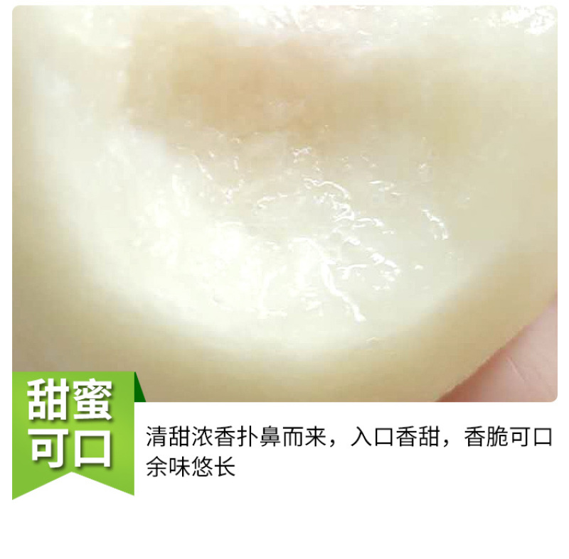 白如玉桃苗桃苗根系发达可签纯度合同现挖发货