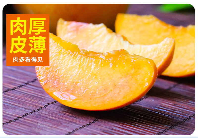 黄金脆桃苗根系发达丰产性好现挖保湿发货