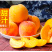 黄金脆桃苗根系发达丰产性好现挖保湿发货