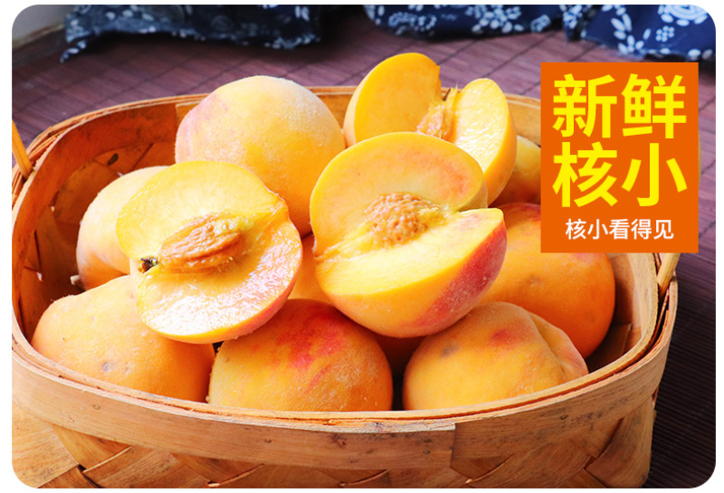 黄金脆桃苗根系发达丰产性好现挖保湿发货
