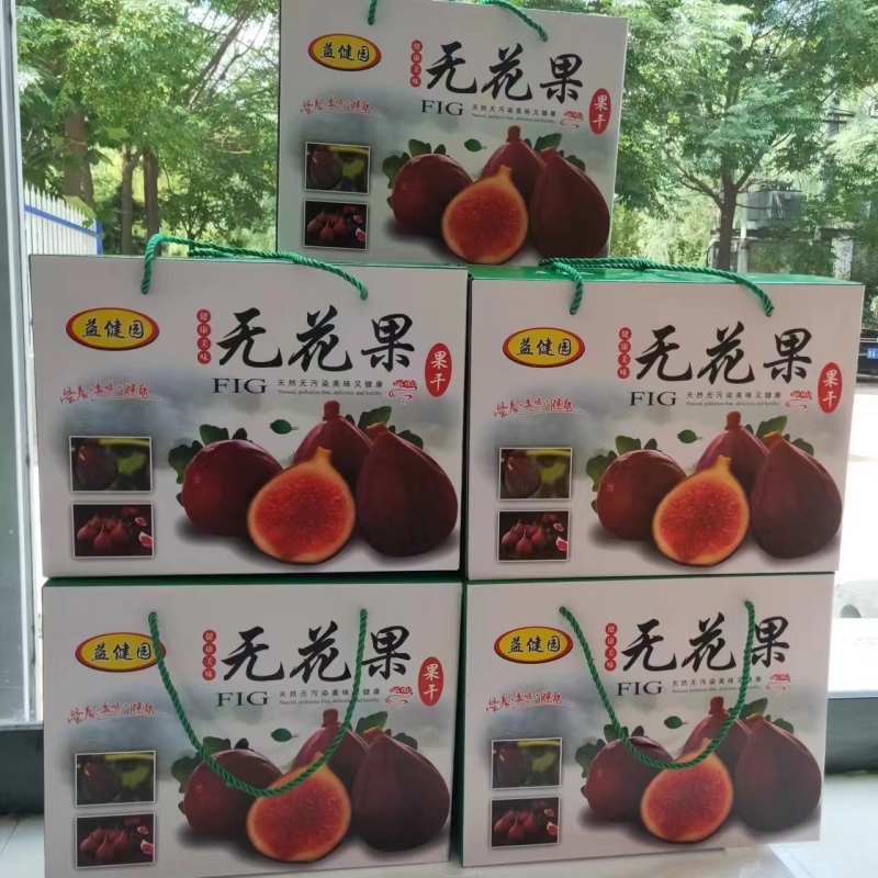 无花果干芭劳奈无花果干支持一件代发商超货