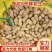 鲁花8商花5白沙鲜花生大量上市人工手捡颗粒饱满