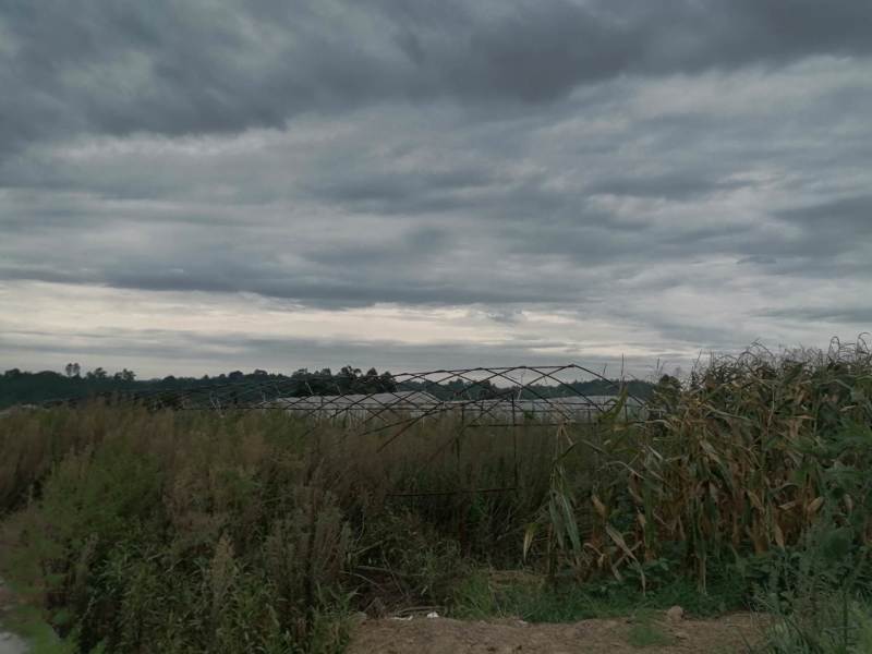 长寿区300亩以上的种植用地出租，价格600一亩