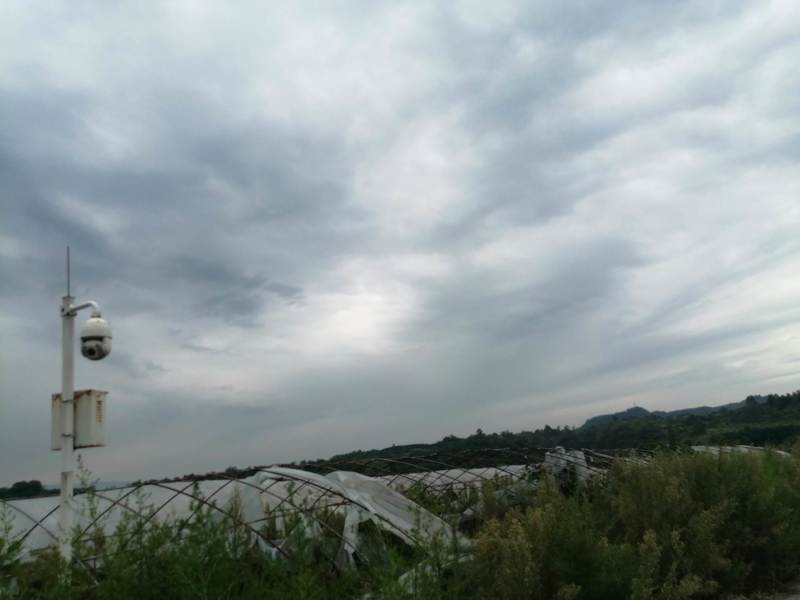 长寿区300亩以上的种植用地出租，价格600一亩