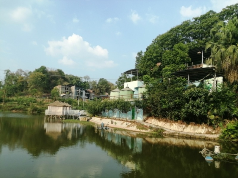 巴南区40亩鱼塘加农家乐出ZU