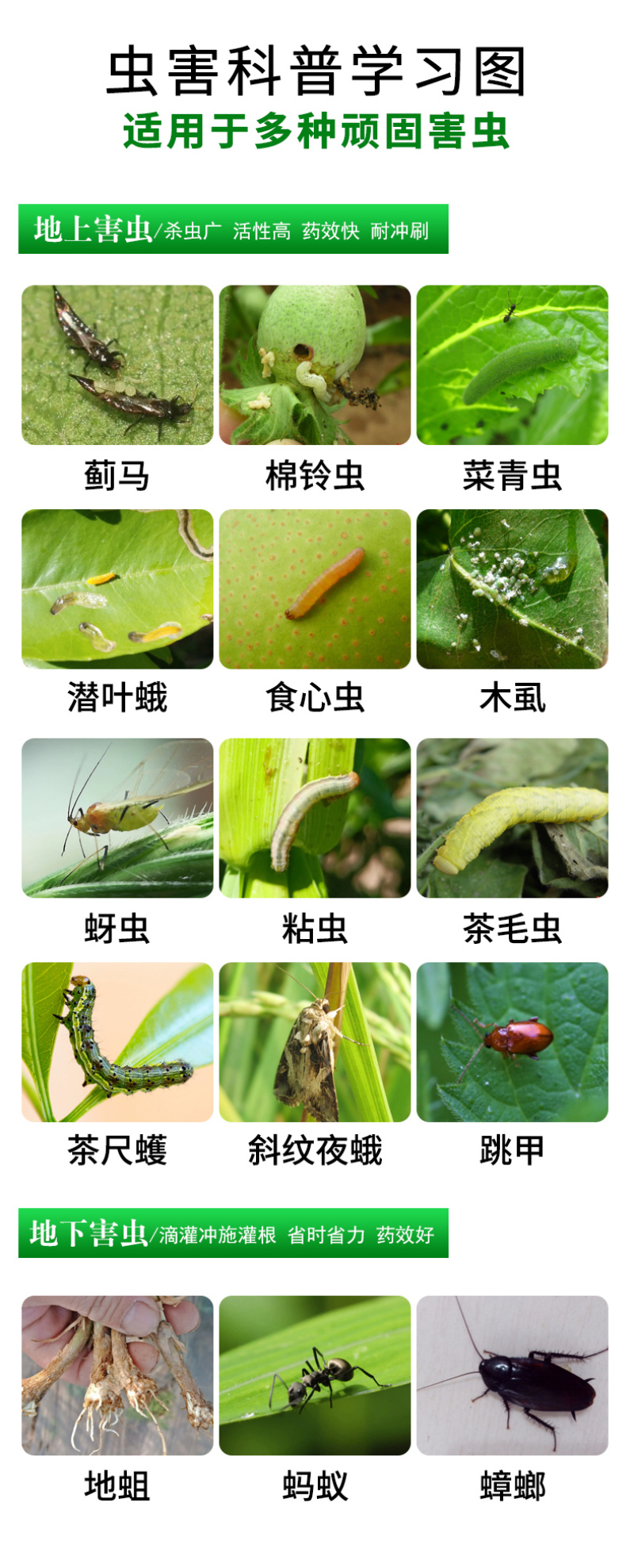 剑力达5%高效氯氟氰菊酯蚜虫榛实象甲杀虫剂