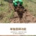 多功能果园开沟施肥机履带式旋耕机山地农用自走式耕地机
