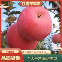 【红将军苹果】大量上市了个大，皮毛亮，颜色好，口感脆甜
