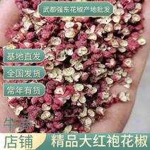 甘肃精品大红袍花椒产地直发品质保证全年有货欢迎