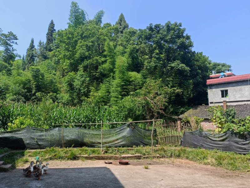 荣昌铜鼓镇村集体50平农家民房出租，2000一年