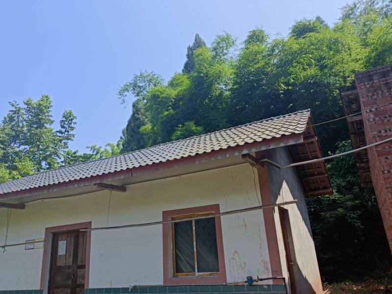 荣昌铜鼓镇村集体50平农家民房出租，2000一年