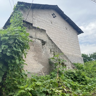 重庆市北碚区80平农村民房出租，房子有2层，门口有坝子