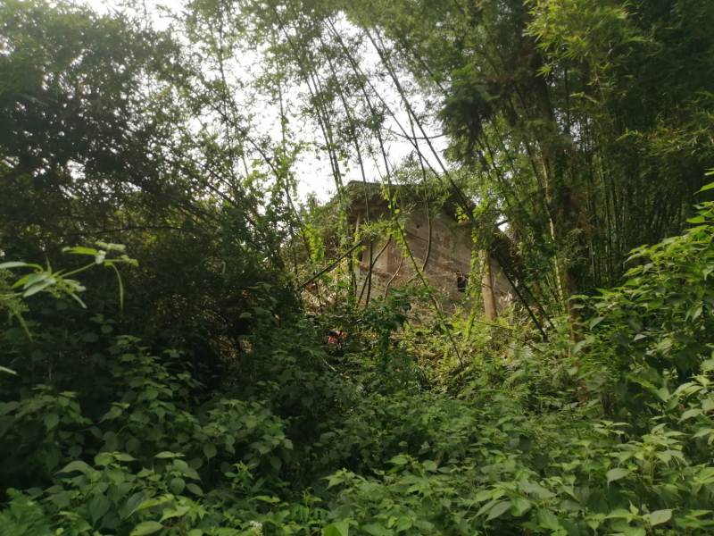 巴南区圣灯山镇200平民房出租，租金每年2万