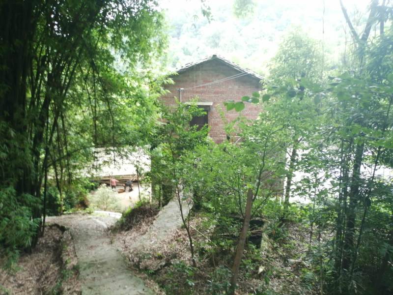 巴南区圣灯山镇200平民房出租，租金每年2万