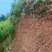 荣昌300亩花椒基地转让费用16万带设备