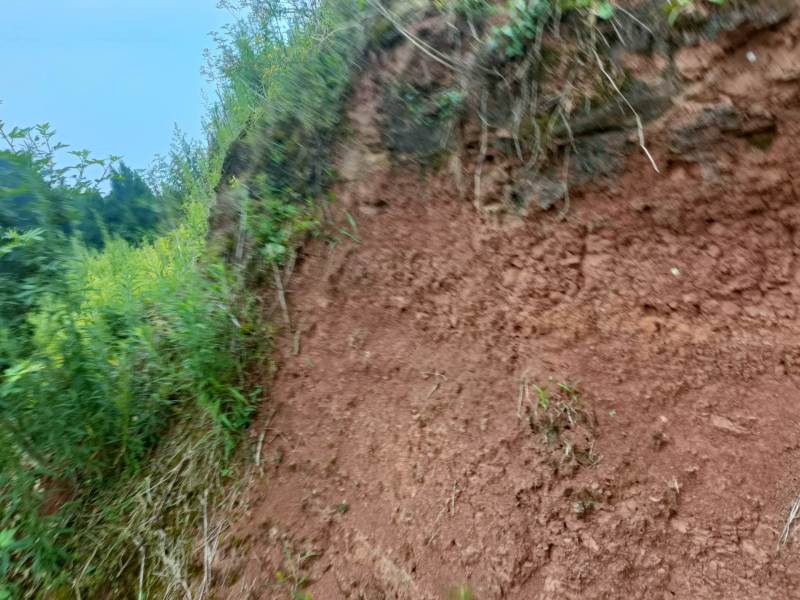 荣昌300亩花椒基地转让费用16万带设备