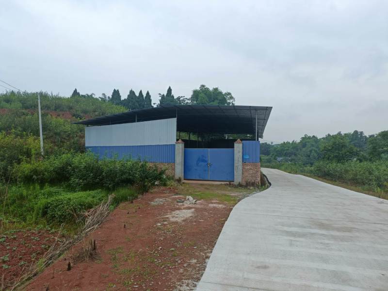 荣昌300亩花椒基地转让费用16万带设备
