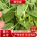 豌豆苗豌豆尖营养价值丰富多样含有人体必需氨基酸