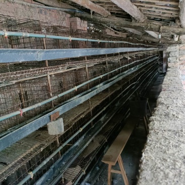 长寿区500平养鸡场，一栋门口的民房1万一年，价格优惠