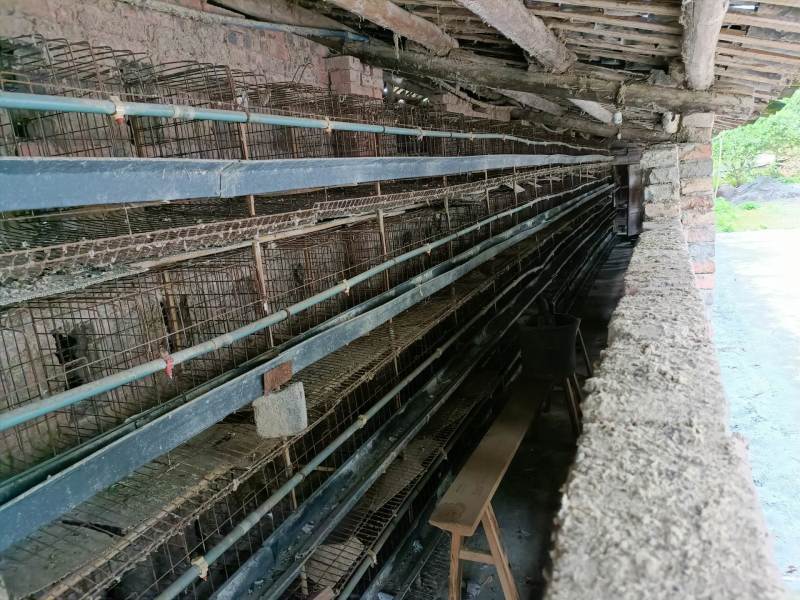 长寿区500平养鸡场，一栋门口的民房1万一年，价格优惠
