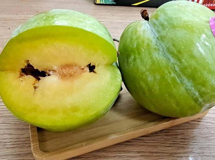 青脆李子苗展示图