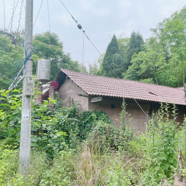 重庆市荣昌铜鼓镇300平闲置农房出ZU，门口有坝子
