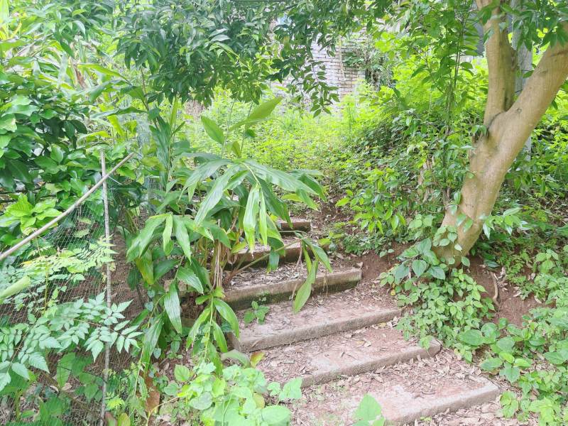 重庆市荣昌铜鼓镇300平闲置农房出ZU，门口有坝子