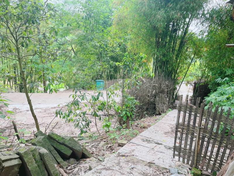 重庆市荣昌铜鼓镇300平闲置农房出ZU，门口有坝子