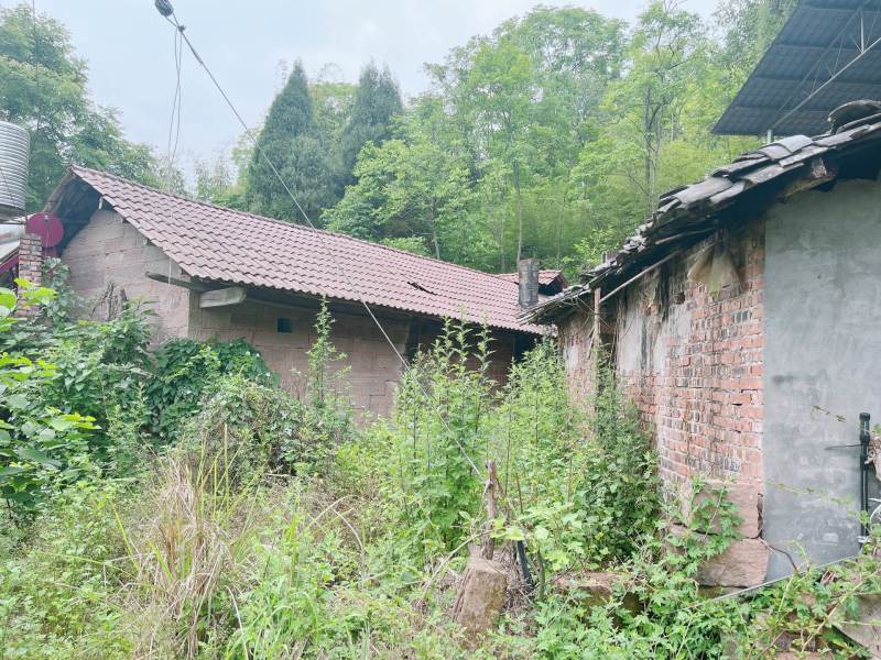 重庆市荣昌铜鼓镇300平闲置农房出ZU，门口有坝子