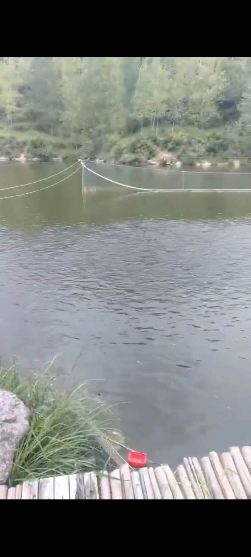 酉阳县南腰界镇123亩大型水库转让25万元，地租20元一