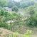 重庆市荣昌铜鼓镇80亩基本农田出ZU