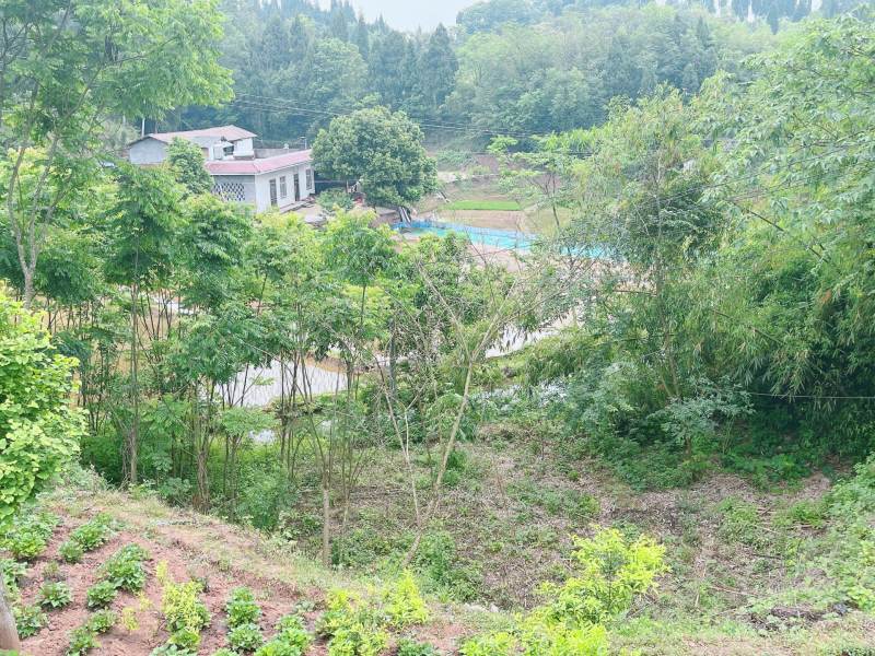重庆市荣昌铜鼓镇80亩基本农田出ZU
