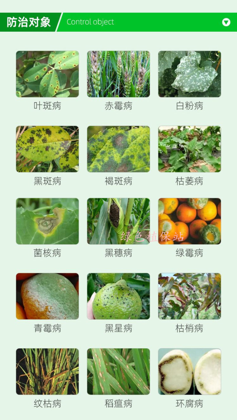 甲基硫菌灵杀菌剂苹果轮纹病白粉病纹枯病叶霉病黑星病稻瘟病