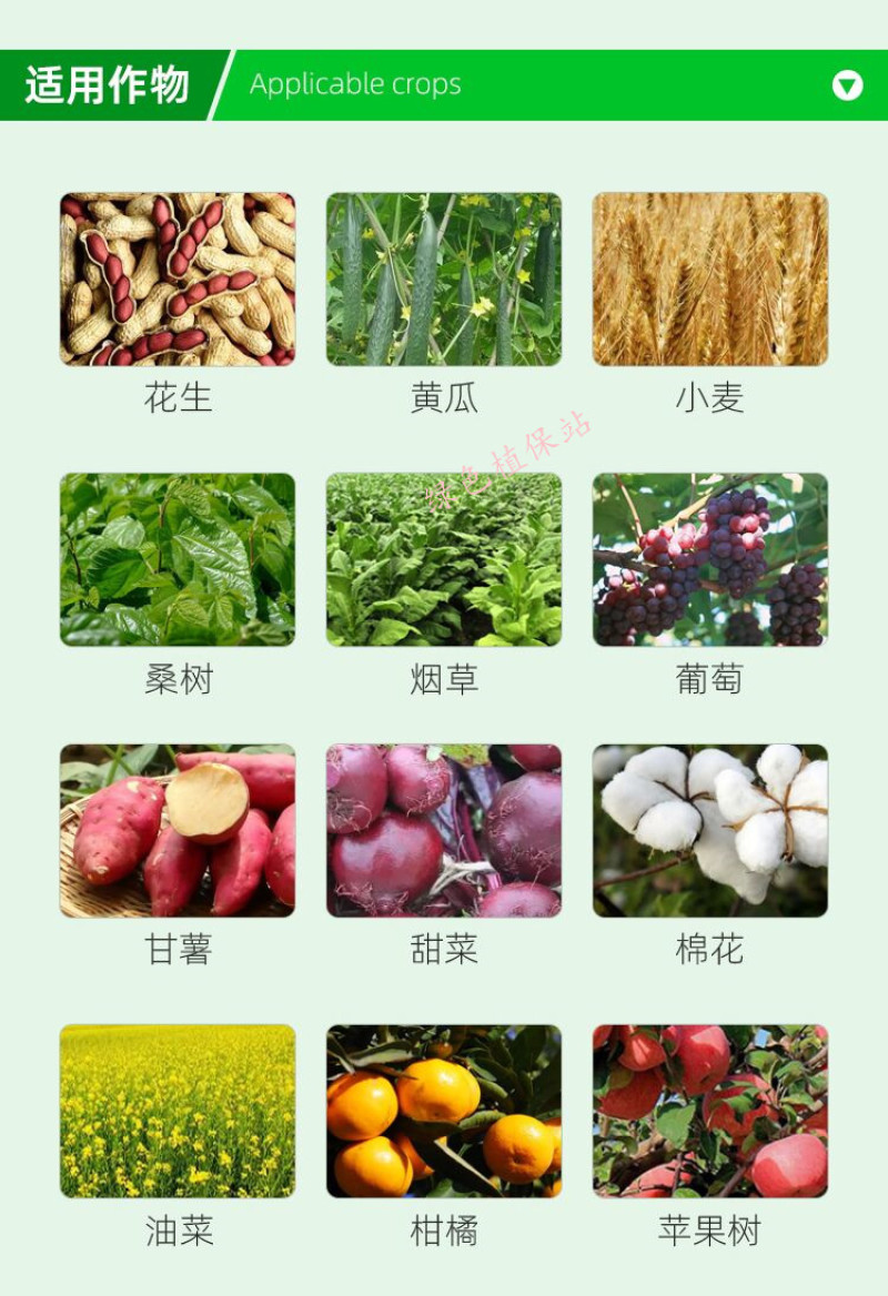 甲基硫菌灵杀菌剂苹果轮纹病白粉病纹枯病叶霉病黑星病稻瘟病