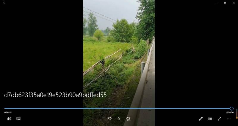 长寿郭兰镇40亩蔬菜基地出租900一亩。
