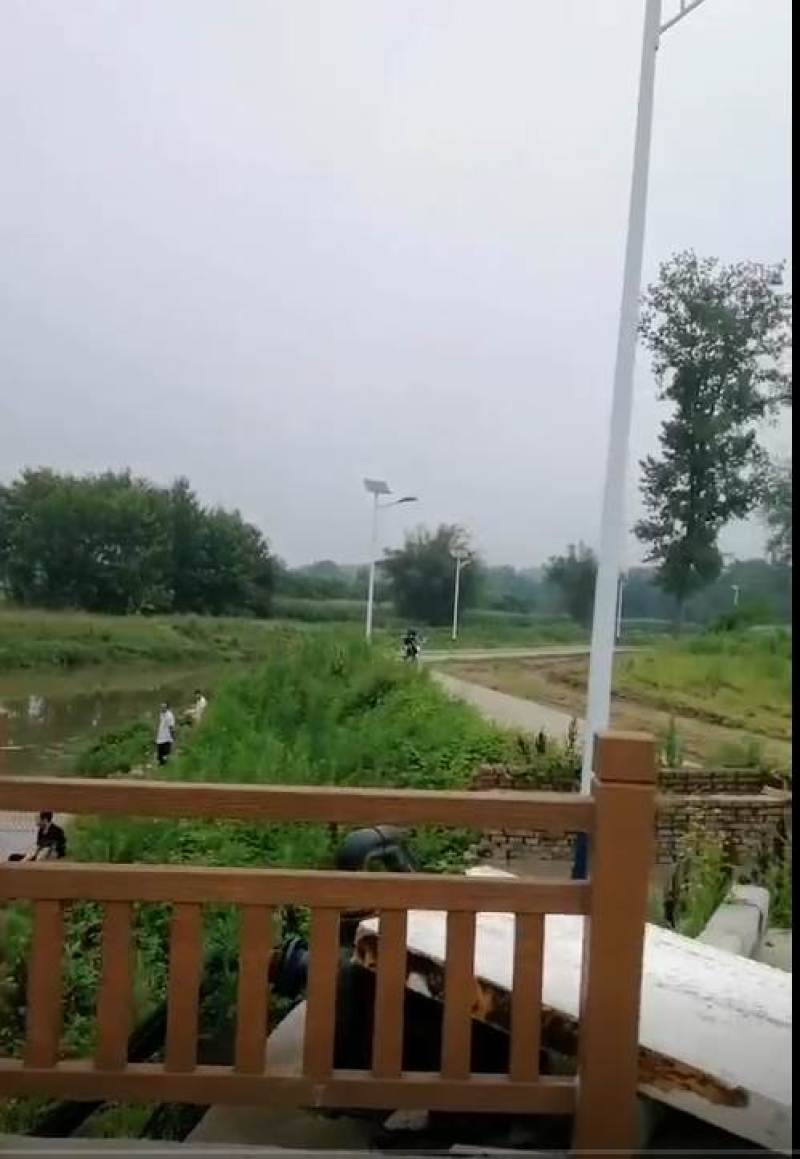 长寿郭兰镇40亩蔬菜基地出租900一亩。