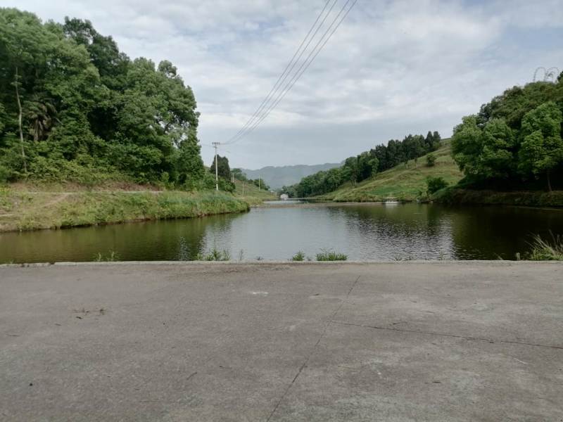 巴南区二圣镇60亩鱼塘出ZU，道路直达，设备齐全