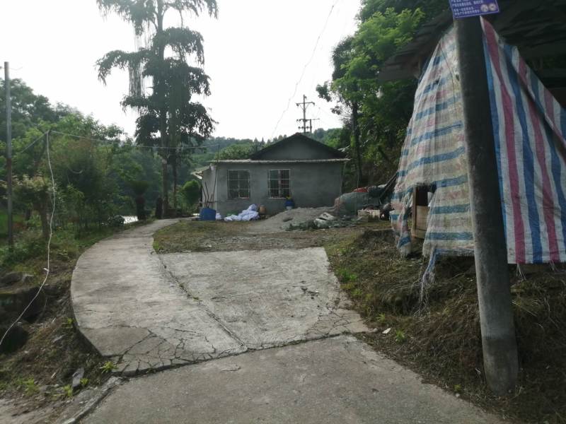 巴南区二圣镇60亩鱼塘出ZU，道路直达，设备齐全