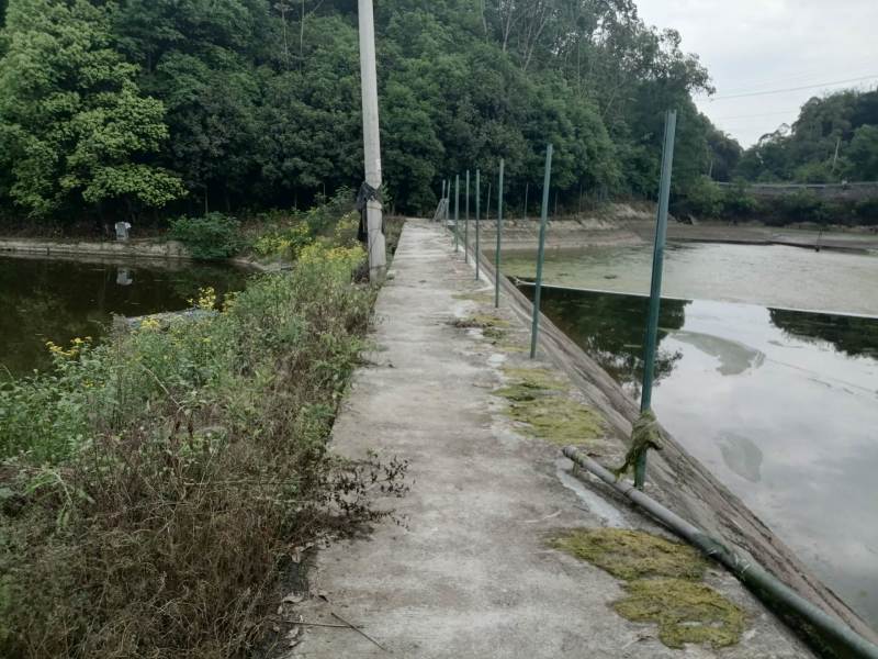 巴南区二圣镇15亩鱼塘出ZU，管用房两个，道路直达