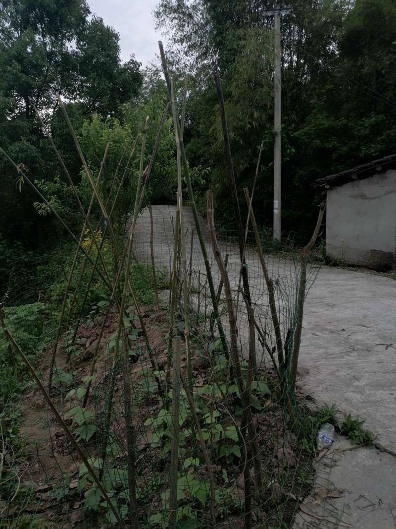 巴南区二圣镇15亩鱼塘出ZU，管用房两个，道路直达