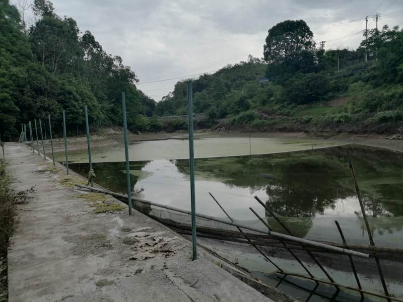 巴南区二圣镇15亩鱼塘出ZU，管用房两个，道路直达