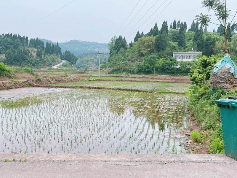 重庆市荣昌铜鼓镇70亩基本农田出ZU，有排水，地平