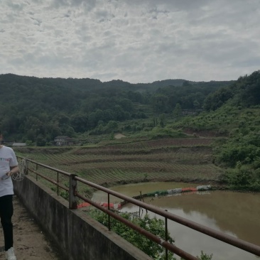 巴南区二圣镇8亩鱼塘加两栋民房，水源水山，道路直达