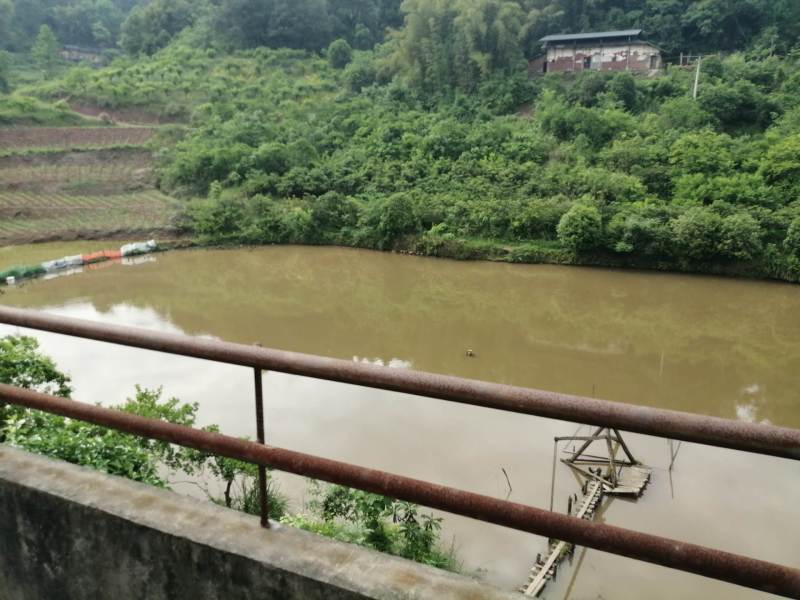 巴南区二圣镇8亩鱼塘加两栋民房，水源水山，道路直达