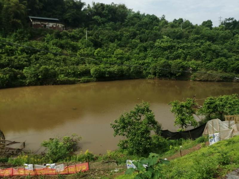 巴南区二圣镇8亩鱼塘加两栋民房，水源水山，道路直达