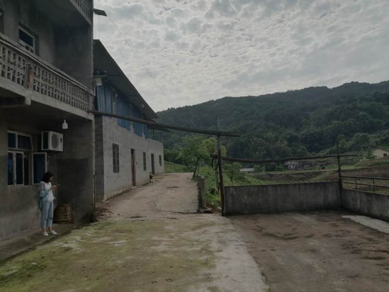 巴南区二圣镇8亩鱼塘加两栋民房，水源水山，道路直达