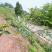 重庆市荣昌区高山村花椒地400亩出ZU……