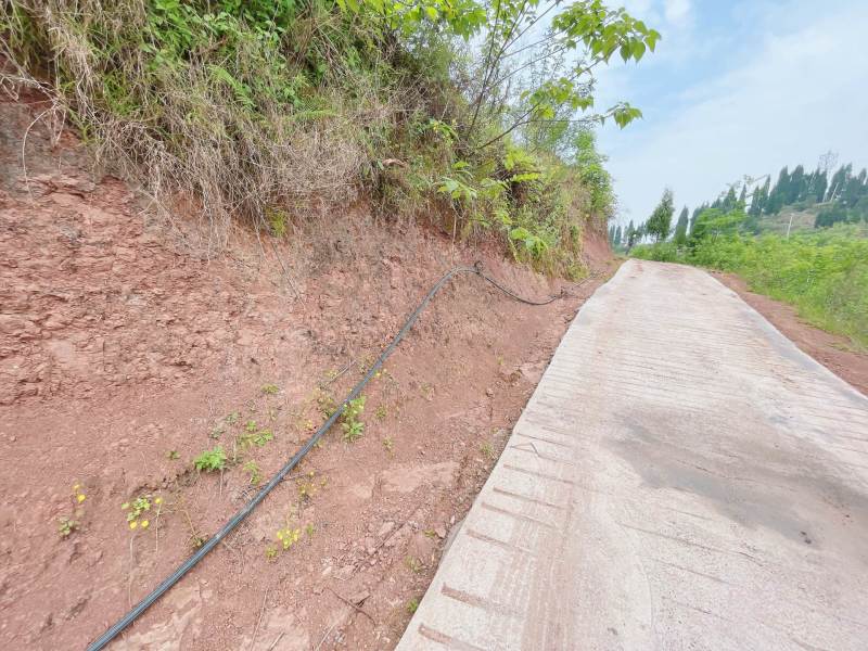 重庆市荣昌区高山村花椒地400亩出ZU……