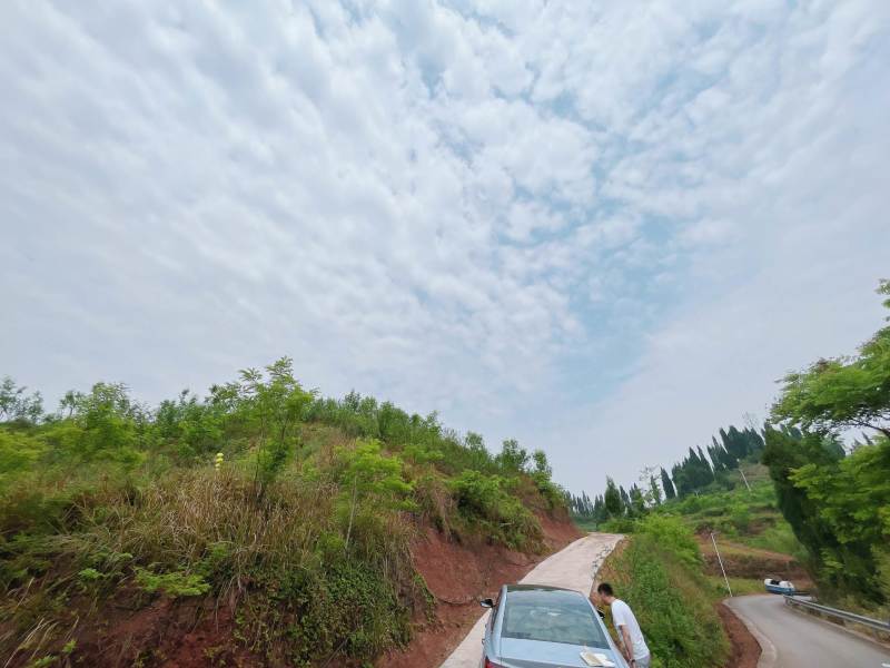 重庆市荣昌区高山村花椒地400亩出ZU……